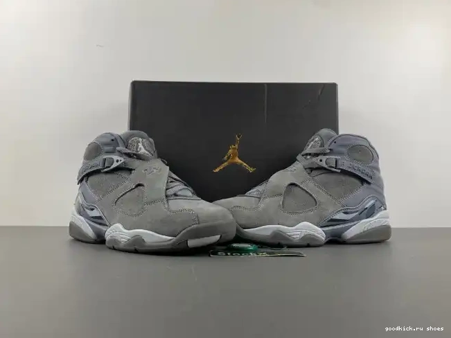 8 Jordan Retro Cool Grey 305381-014 0615